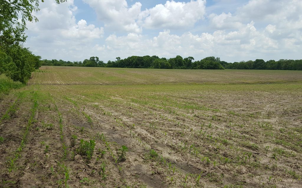 40 acres, Atalissa, IA, Property ID 9782745 Land and Farm