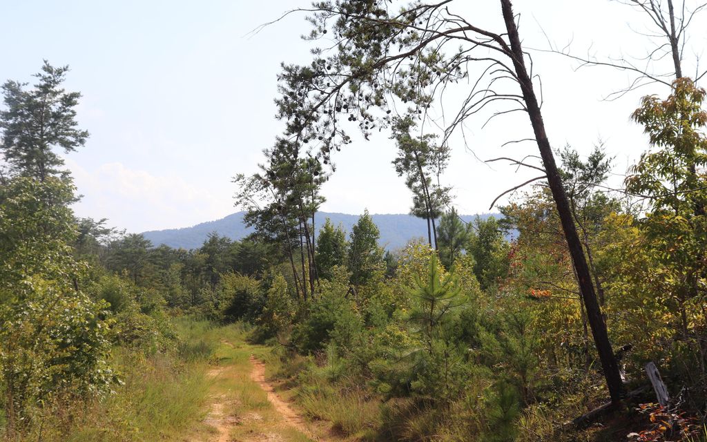 163.08 acres, Tellico Plains, TN, Property ID 9786944 Land and Farm