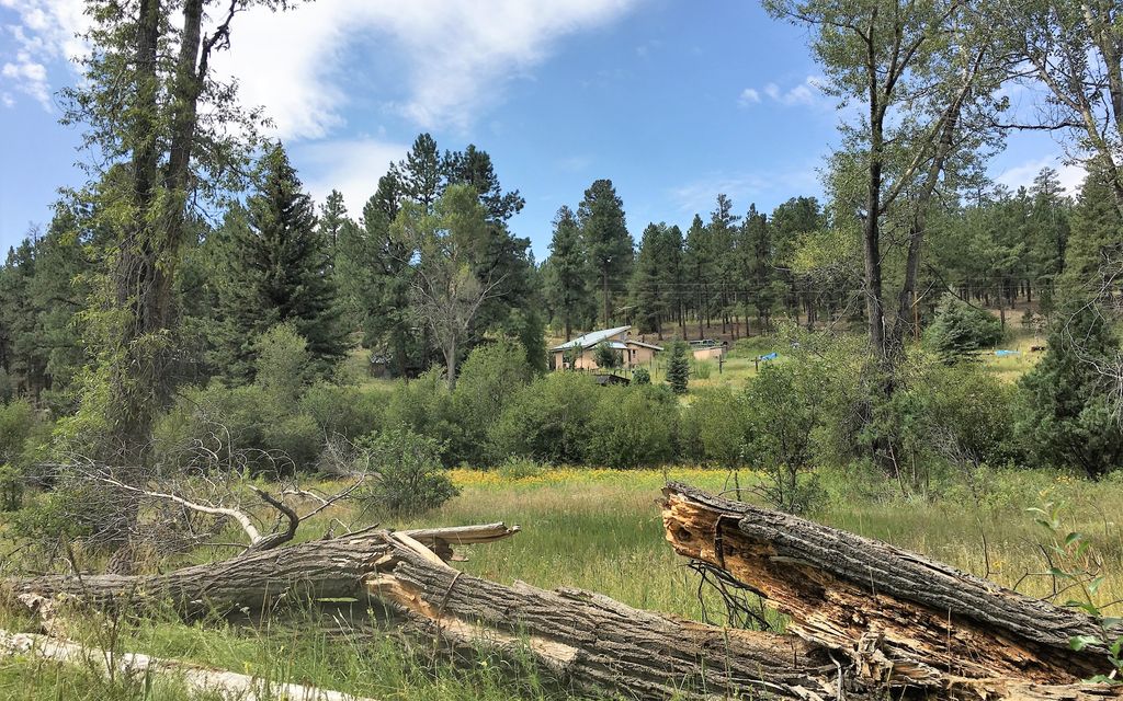 9.72 acres, Vallecitos, NM, Property ID 9807267 Land and Farm