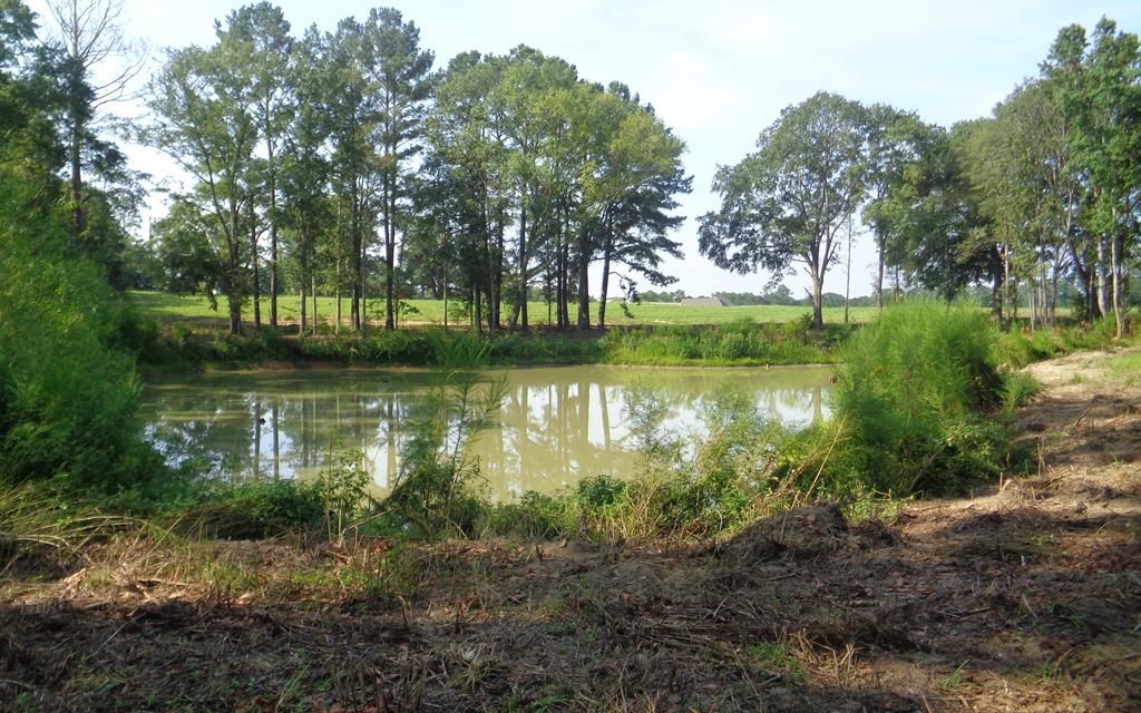9.1 acres, Dothan, AL, Property ID 9808399 Land and Farm