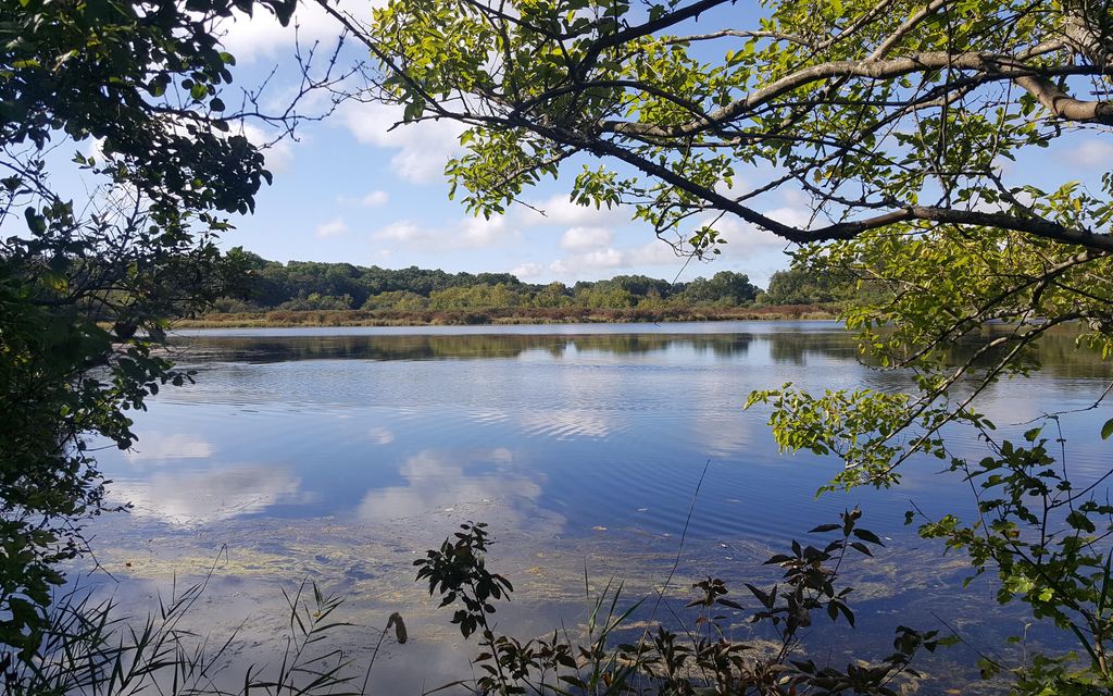 121.89 acres, Wonder Lake, IL, Property ID 9815039 Land and Farm