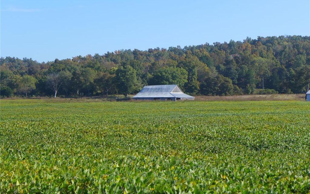419.37 acres, Glen Allen, MO, Property ID 9829052 Land and Farm