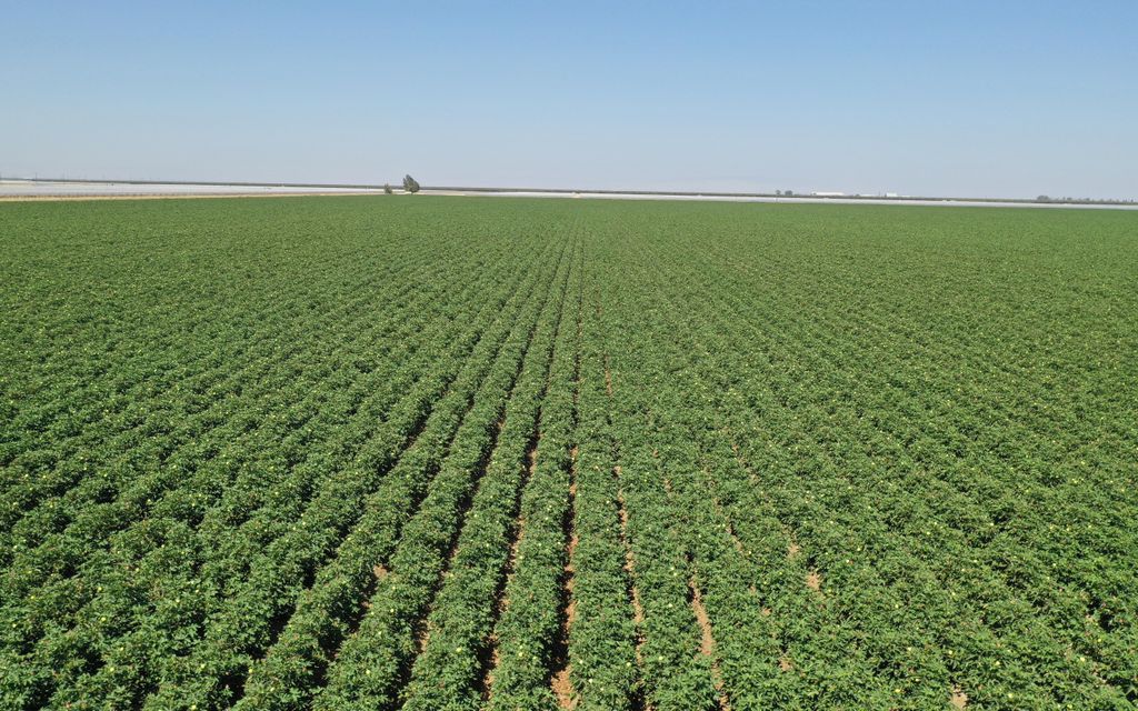 200 acres, Lemoore, CA, Property ID 9862734 Land and Farm