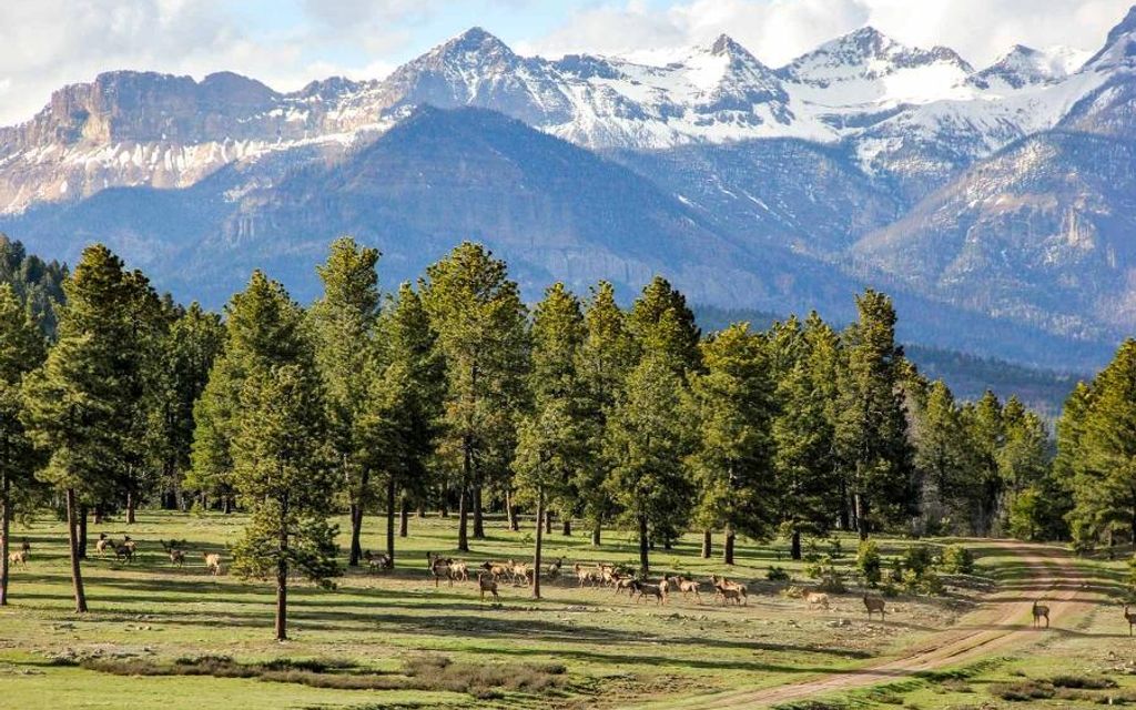 9600 acres, Pagosa Springs, CO, Property ID 3593440 Land and Farm