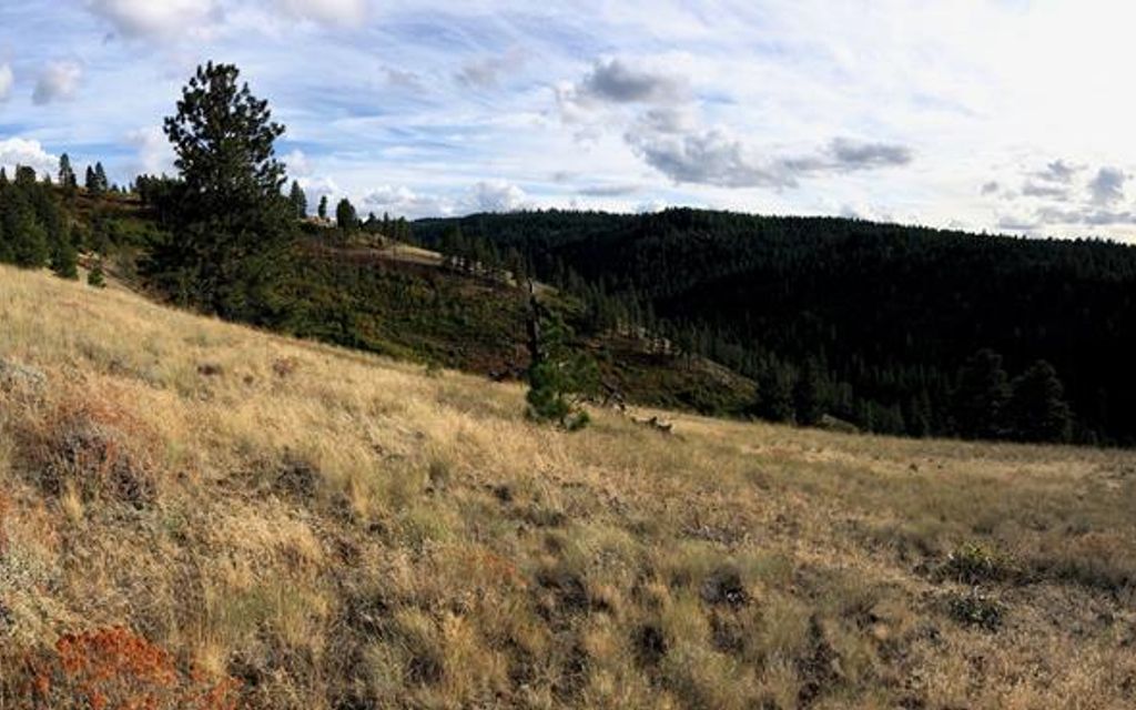 145.82 acres, Dayton, WA, Property ID 9886172 Land and Farm