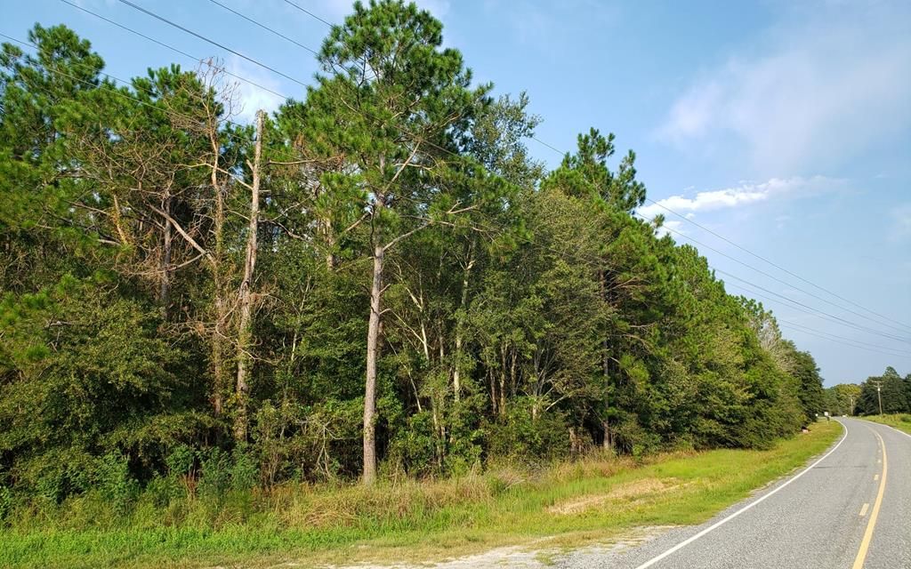 49 acres, Baxley, GA, Property ID 9886800 Land and Farm