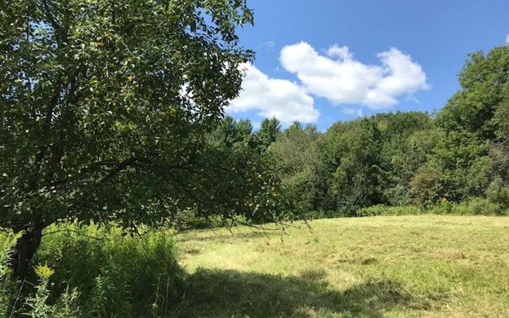 55 acres, White Creek, NY, Property ID 9372156 Land and Farm