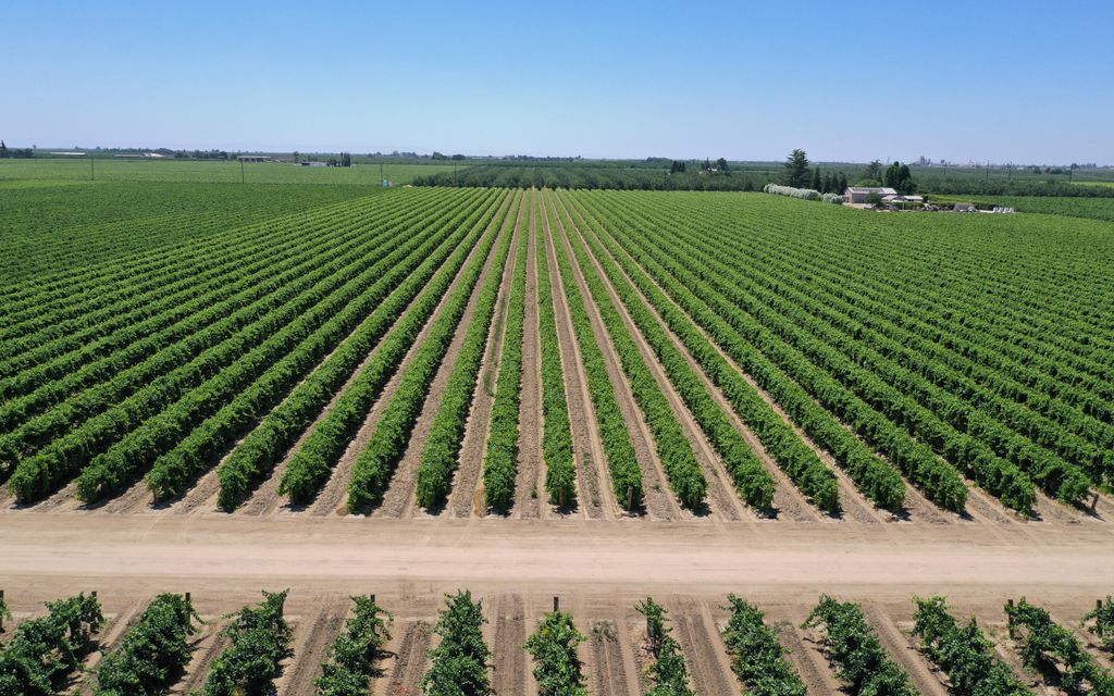 489.46 acres, Madera, CA, Property ID 9893601 Land and Farm