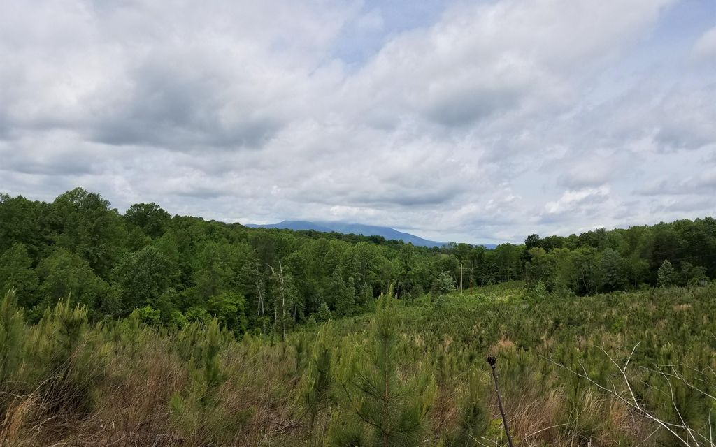 178 acres, Amherst, VA, Property ID 9906697 Land and Farm