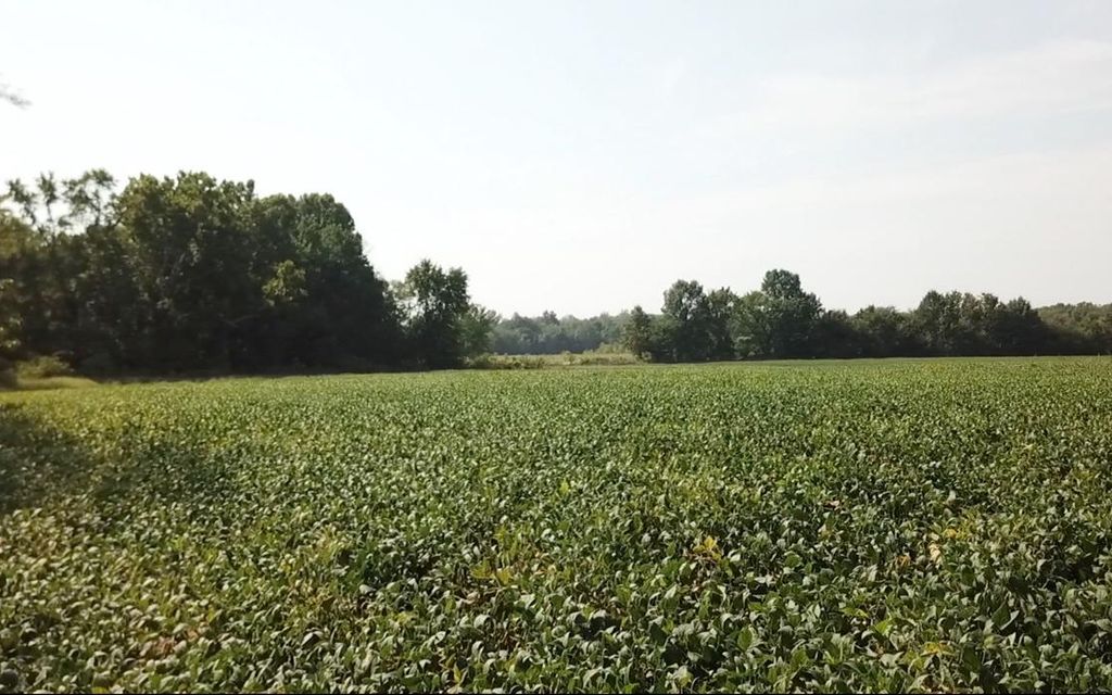 102 acres, Mexico, MO, Property ID 9907021 Land and Farm