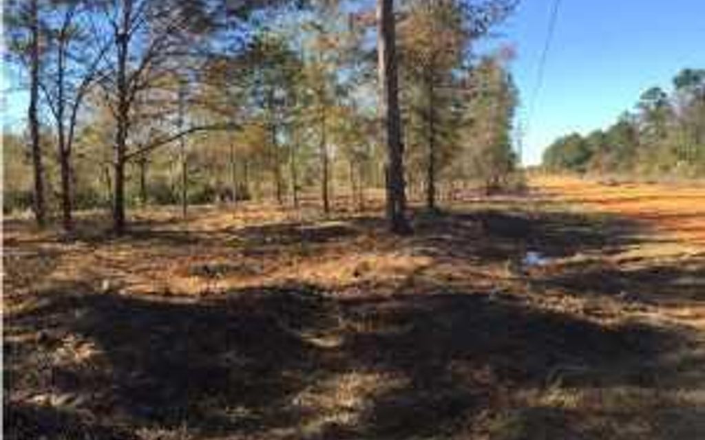 98.35 acres, Youngstown, FL, Property ID 9910234 Land and Farm