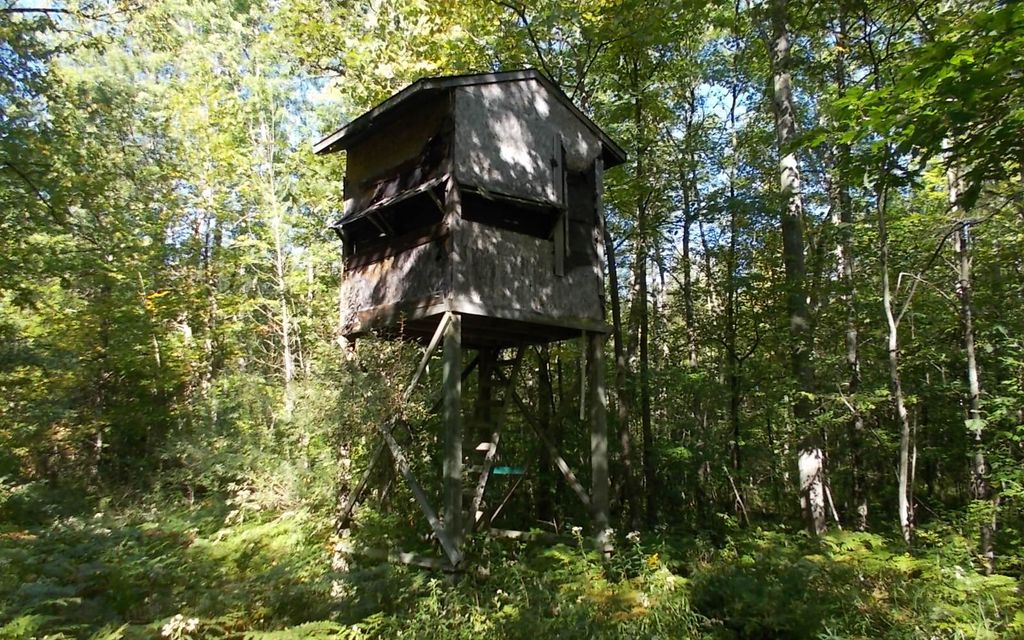 30 acres, Midland, MI, Property ID 9912323 Land and Farm