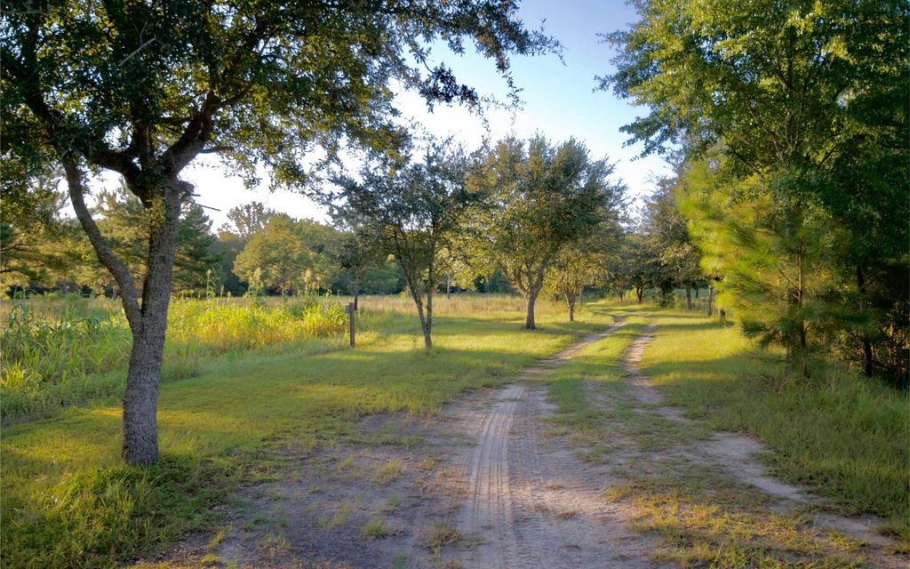 301.95 acres, Early Branch, SC, Property ID 9932993 Land and Farm