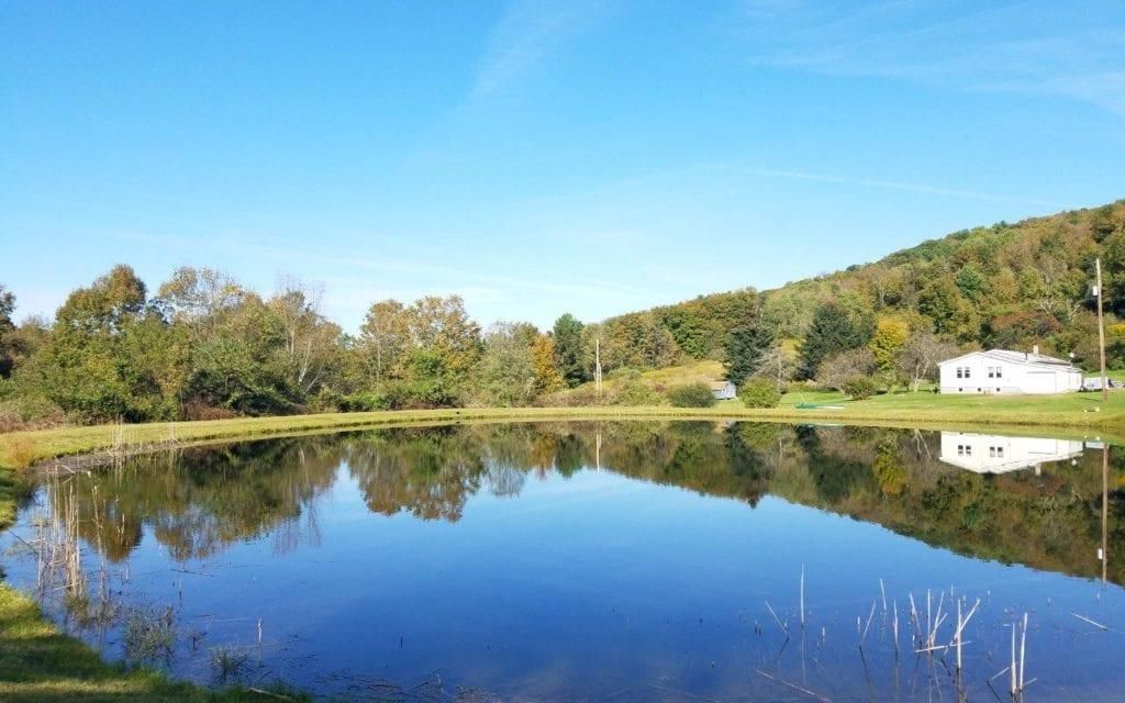 64.9 acres, Pine City, NY, Property ID 9934591 Land and Farm