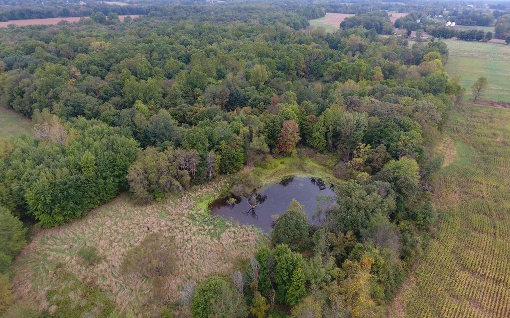 183 acres, Coldwater, MI, Property ID 9940603 Land and Farm