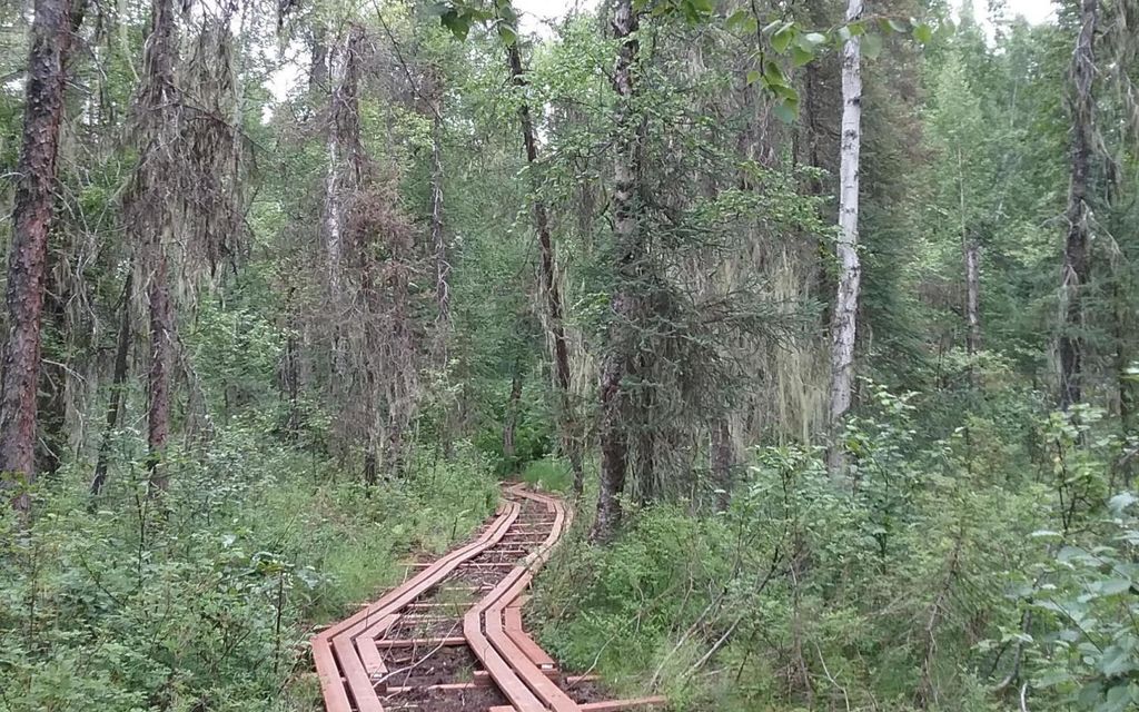 4.64 acres, Trapper Creek, AK, Property ID 7433382 Land and Farm