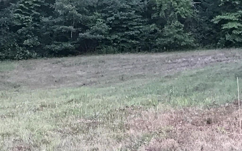 25 acres, Lawrenceburg, TN, Property ID 9512343 Land and Farm