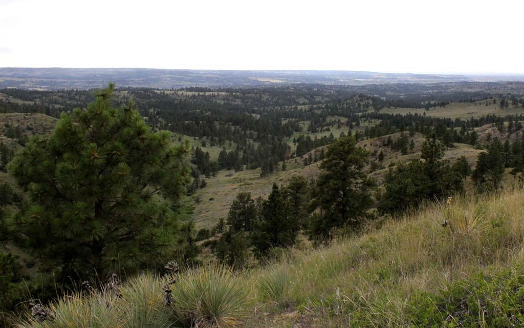 174.27 acres, Hysham, MT, Property ID 9996408 Land and Farm