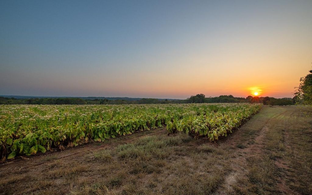 243 acres, Milton, NC, Property ID 9933893 Land and Farm