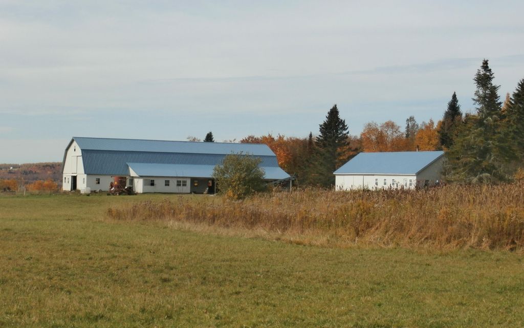 130.35 acres, Perham, ME, Property ID 10020740 Land and Farm