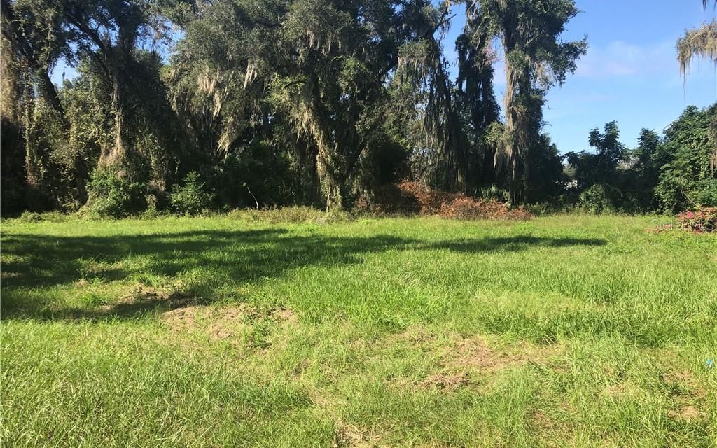 0.72 acres, ster, FL, Property ID 10072916 Land and Farm