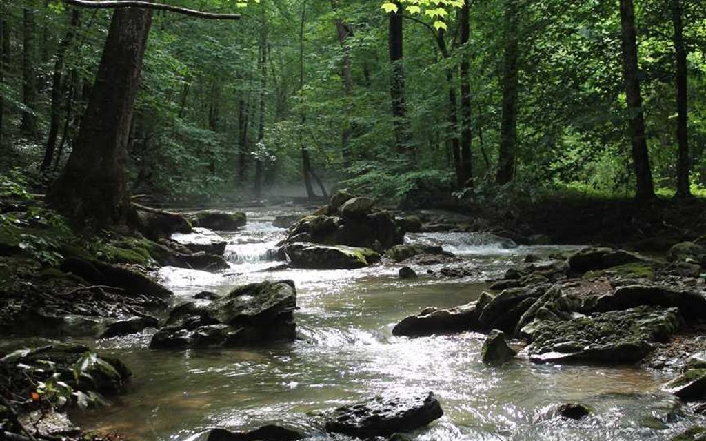 645 acres, Moss, TN, Property ID 10074236 Land and Farm