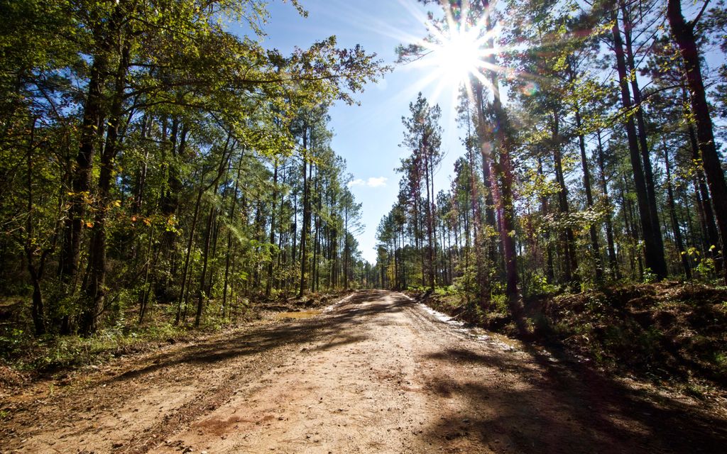 120 acres, Cotton Valley, LA, Property ID 10078574 Land and Farm