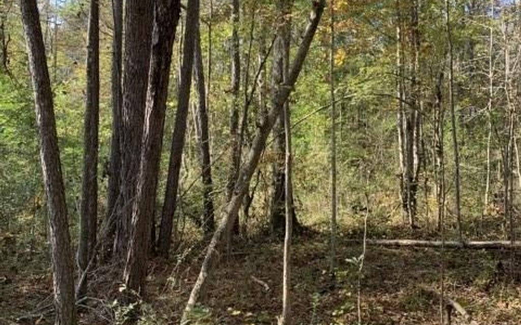 9.22 acres, Carrollton, GA, Property ID 10083266 Land and Farm