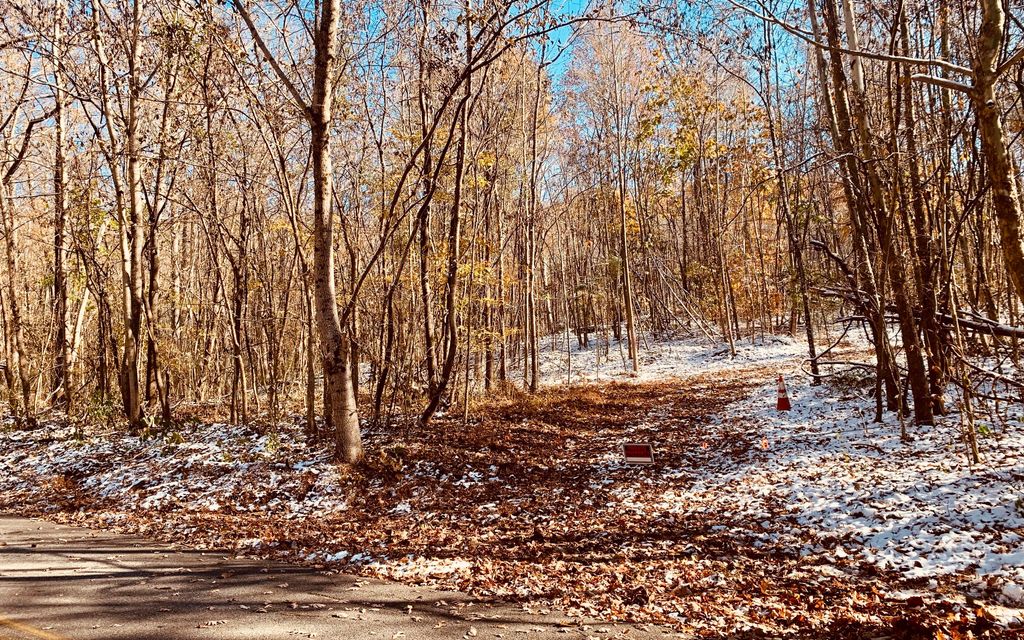 10 acres, Fall Branch, TN, Property ID 10104502 Land and Farm