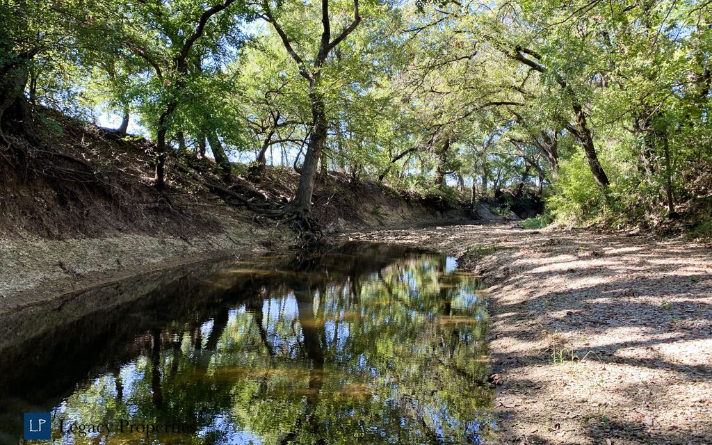 23.33 acres, Myra, TX, Property ID 10109436 Land and Farm