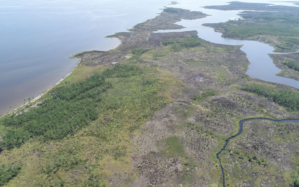 232 acres, Hobucken, NC, Property ID 10110629 Land and Farm