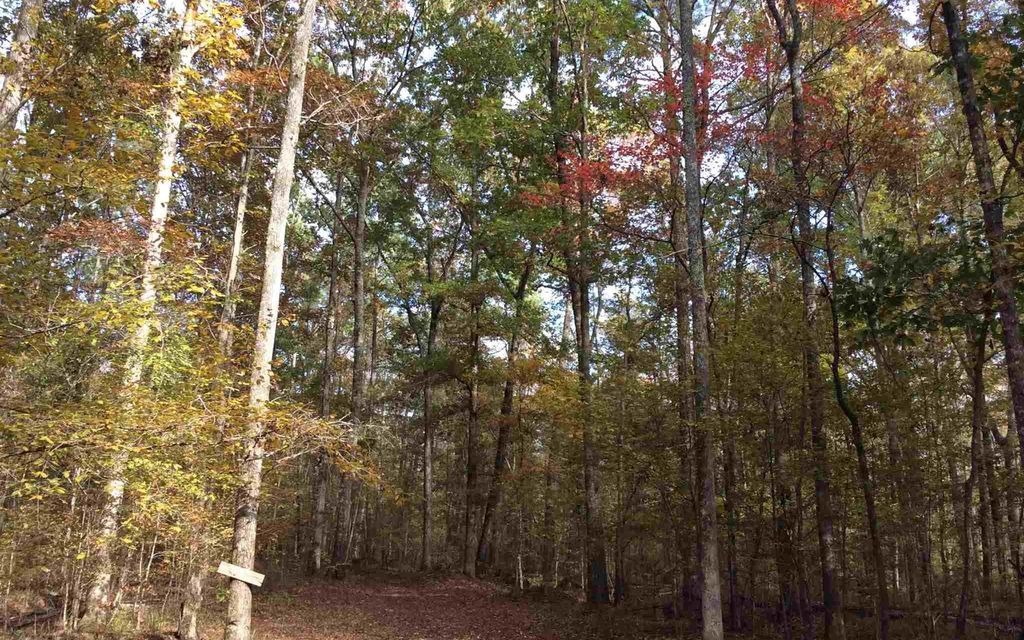 100 acres, Hillsboro, GA, Property ID 10111553 Land and Farm