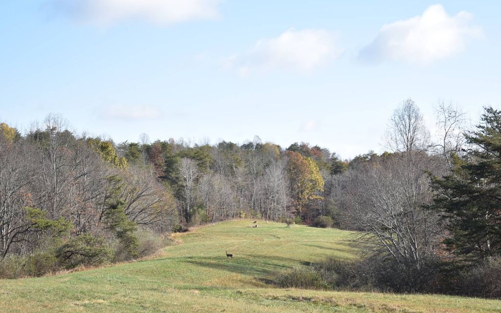 160 acres, Grantsville, WV, Property ID 10113503 Land and Farm