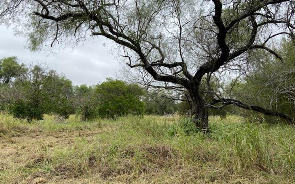 53.5 acres, Falfurrias, TX, Property ID 10128205 Land and Farm