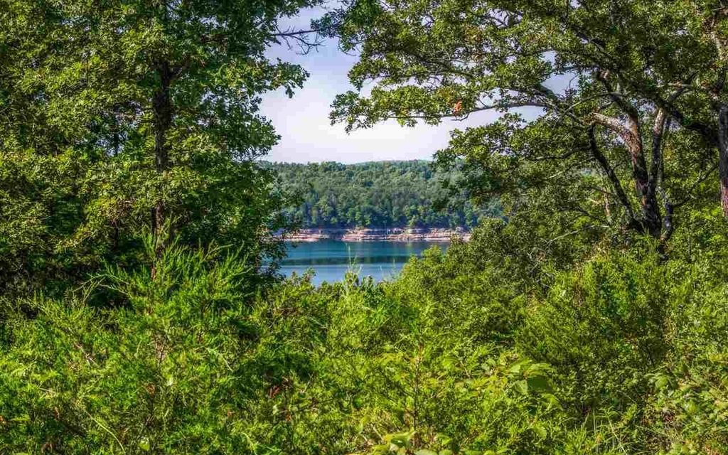 14 acres, Isabella, MO, Property ID 10148081 Land and Farm