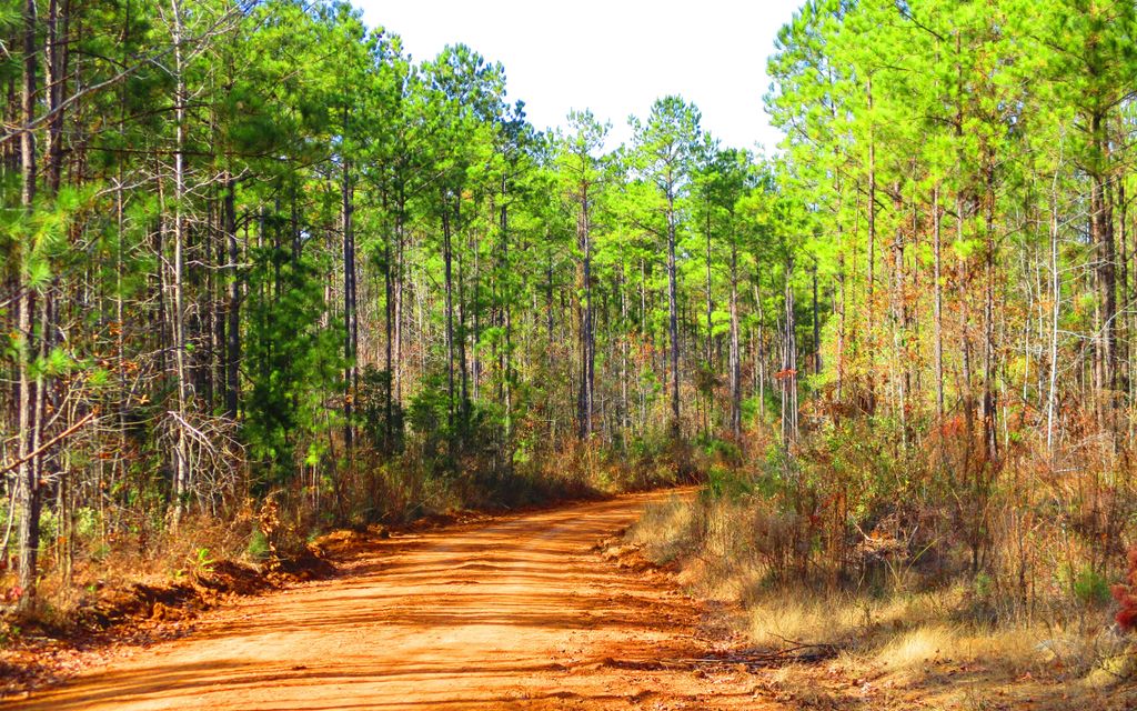 1337 acres, Pine Hill, AL, Property ID 10158053 Land and Farm