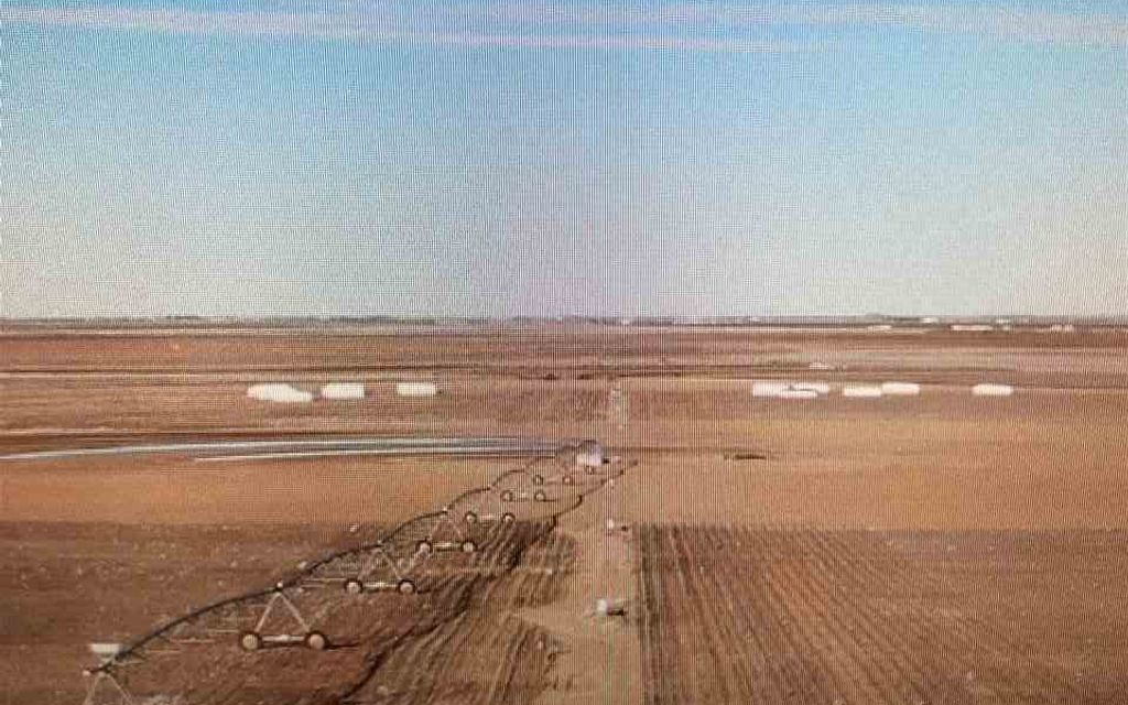 160 acres, Lamesa, TX, Property ID 10197141 Land and Farm