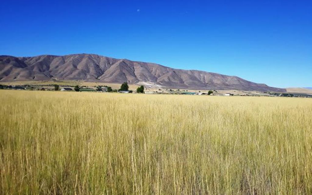 10.73 acres, Benjamin, UT, Property ID 10197591 Land and Farm