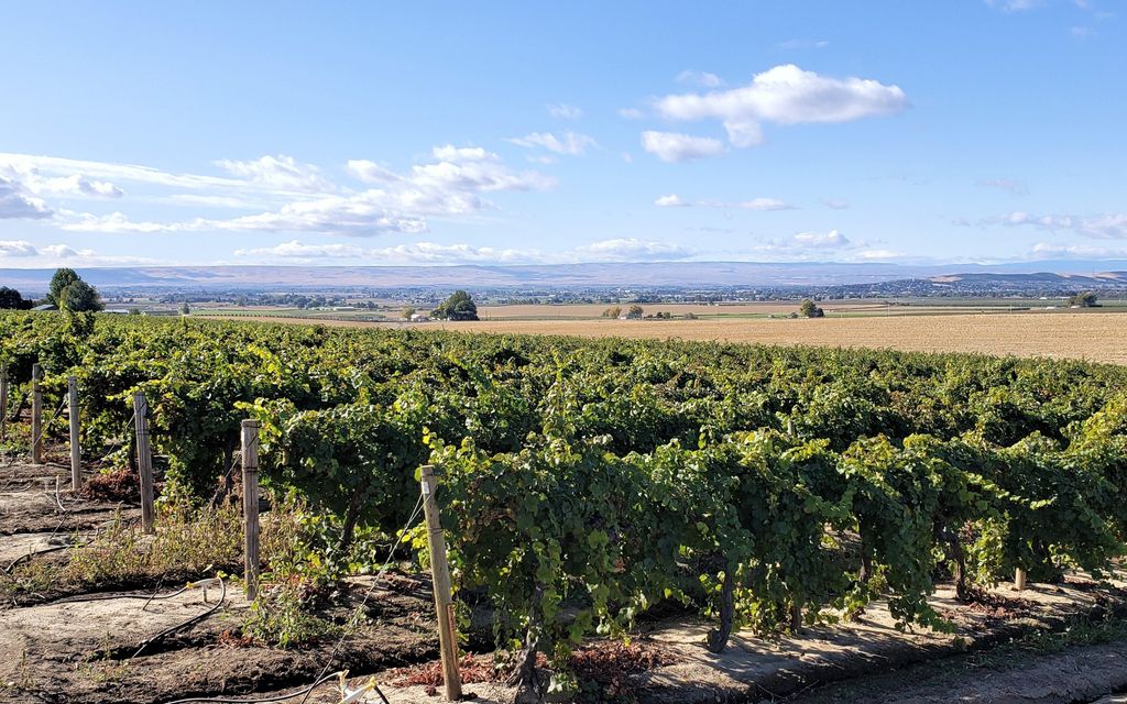 118 acres, Sunnyside, WA, Property ID 10100382 Land and Farm