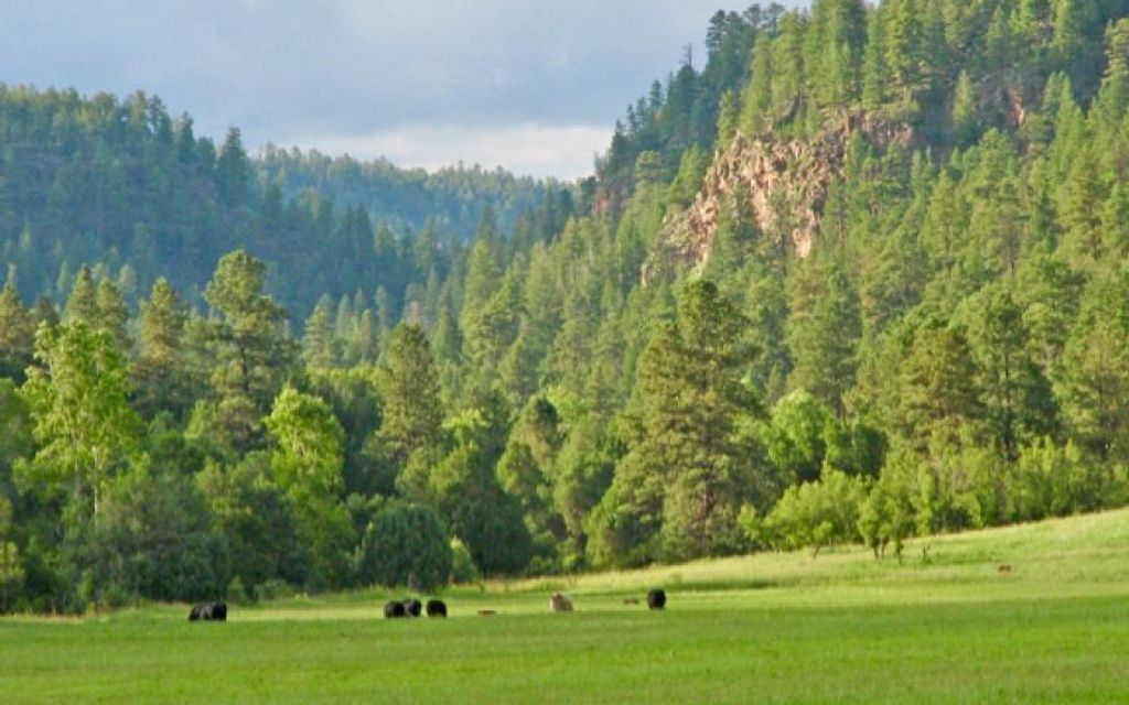 3550 acres, Ocate, NM, Property ID 9292776 Land and Farm