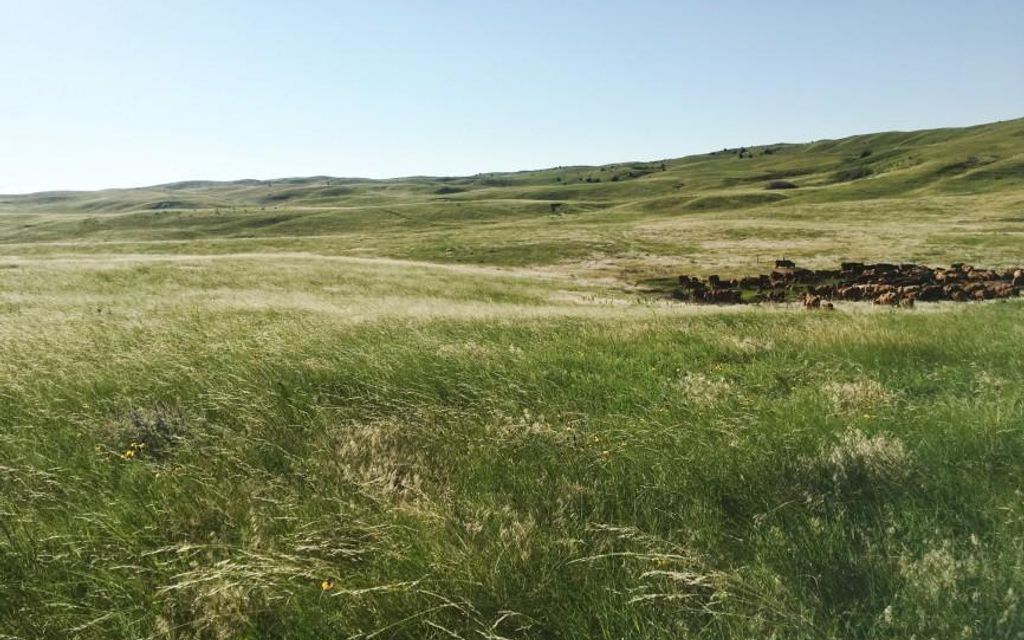 7005.64 acres, Valentine, NE, Property ID 9129084 Land and Farm