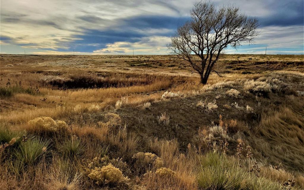 1550 acres, Lamar, CO, Property ID 10233415 Land and Farm