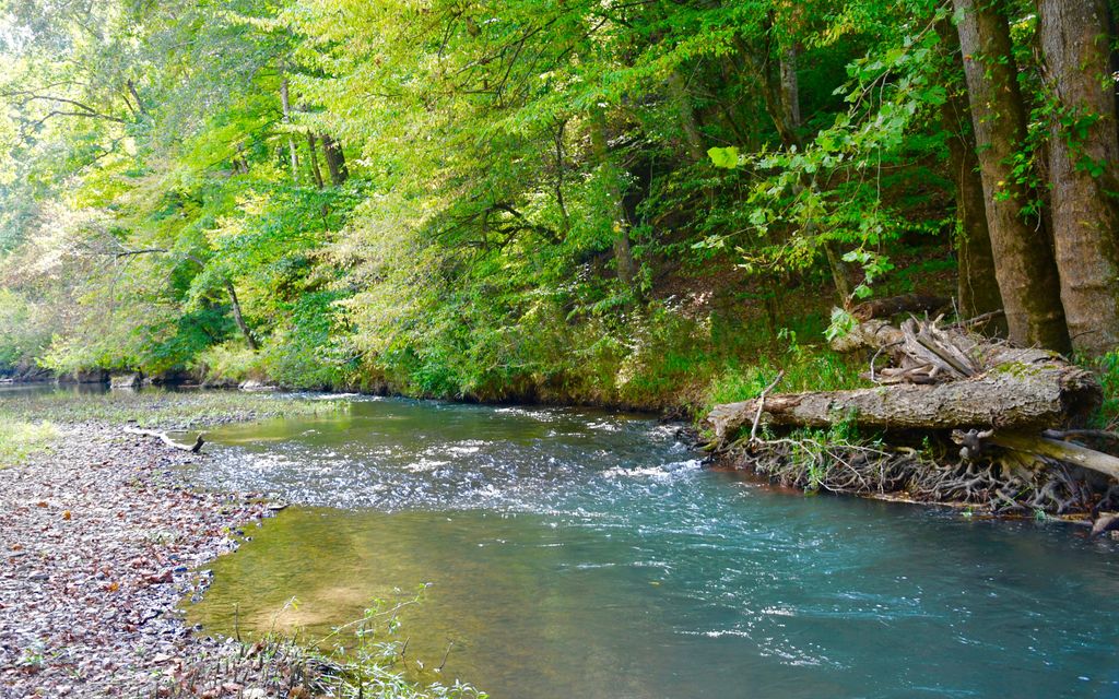 414 Acres Summertown Tn Property Id 10236651 Land And Farm