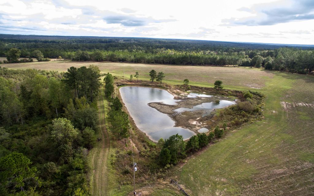 154.14 acres, Lumber City, GA, Property ID 10238109 Land and Farm