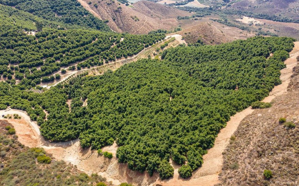 203 acres, Pala, CA, Property ID 10238851 Land and Farm