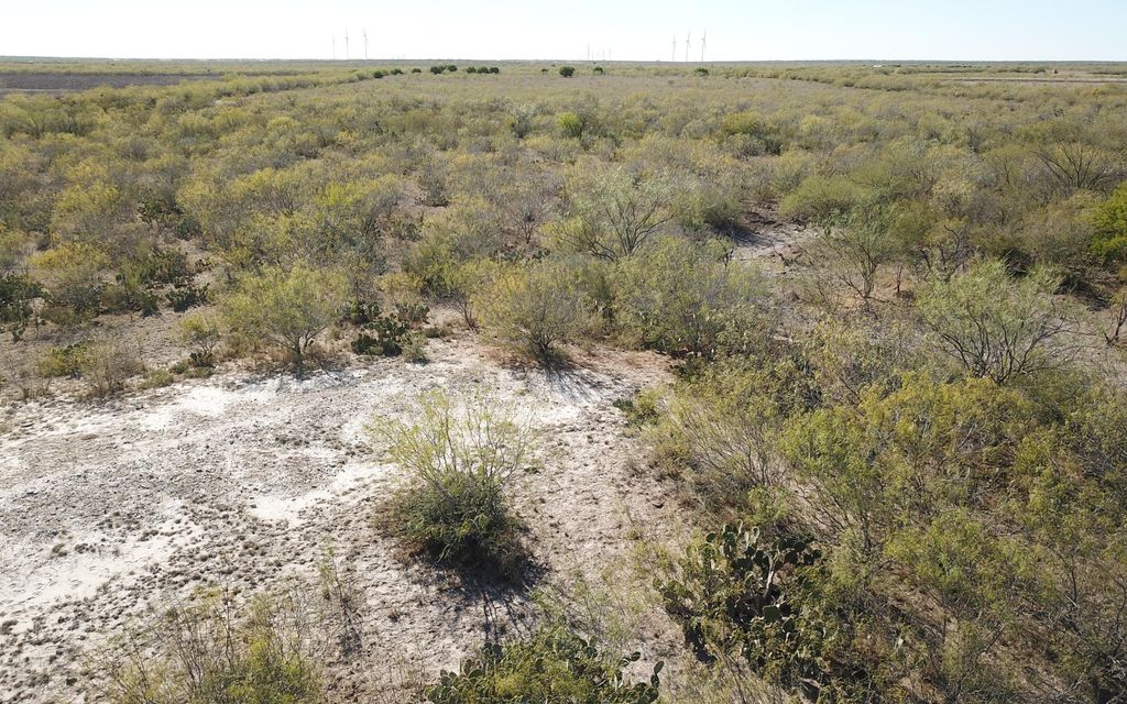 145 acres, El Sauz, TX, Property ID 10242422 Land and Farm