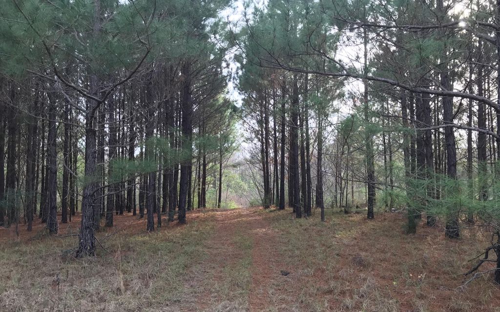 28 Acres Lufkin Tx Property Id 10244853 Land And Farm