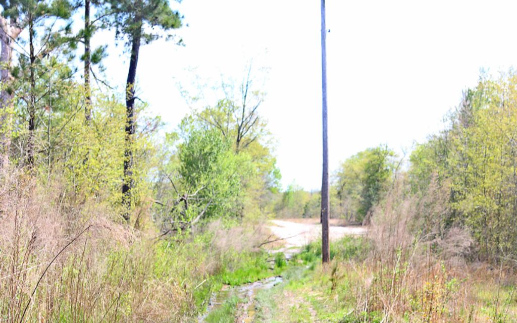 51 acres, Mccoll, SC, Property ID 10254489 Land and Farm