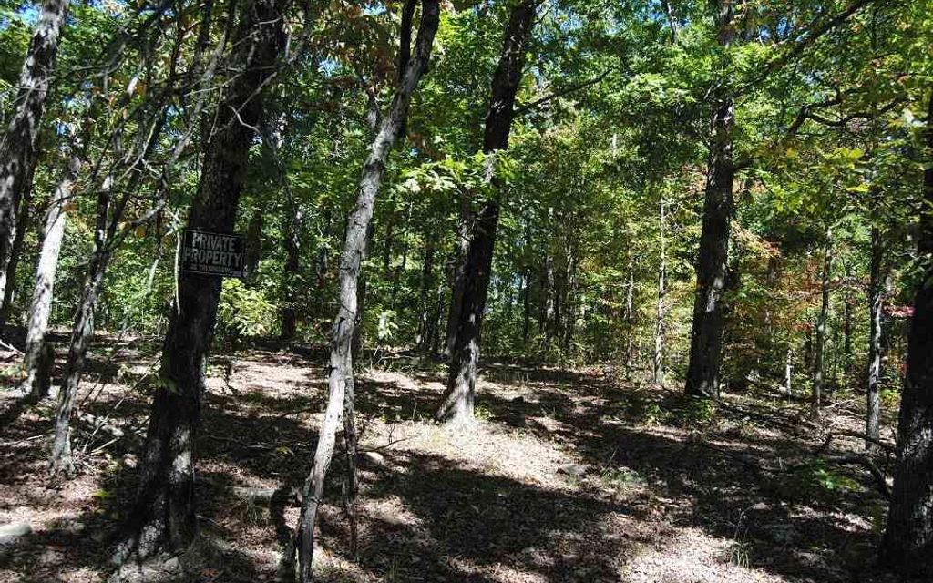 800 acres, Marshall, AR, Property ID 10261683 Land and Farm