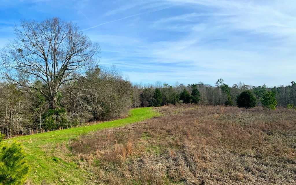 90 acres, Troy, AL, Property ID 10269012 Land and Farm